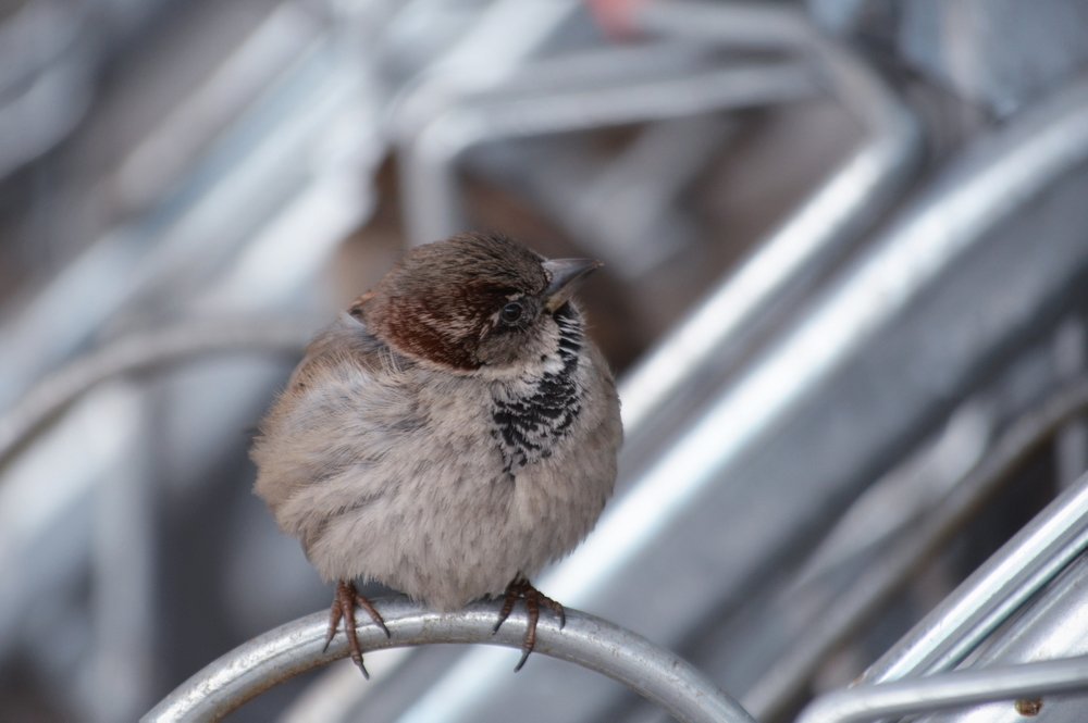 Photograph by Teodora Sarbinska