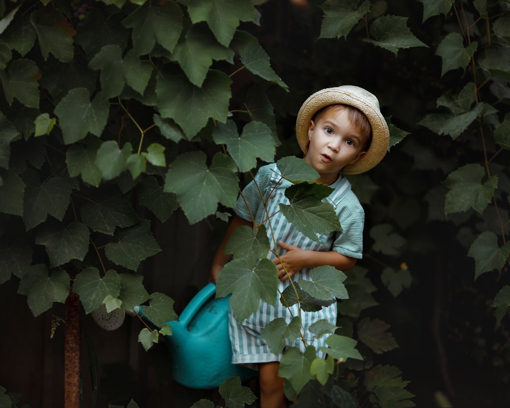 Photograph by Татьяна Лисицкая