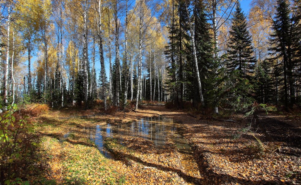 Photograph by Александр Полюдов