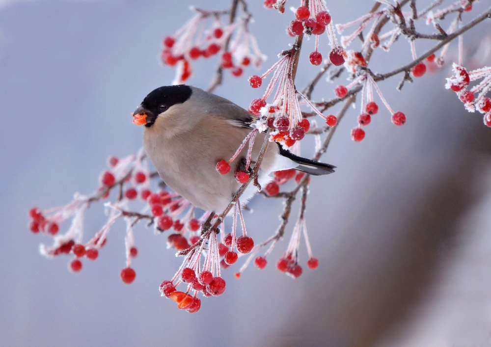 Photograph by Наталия Васильева