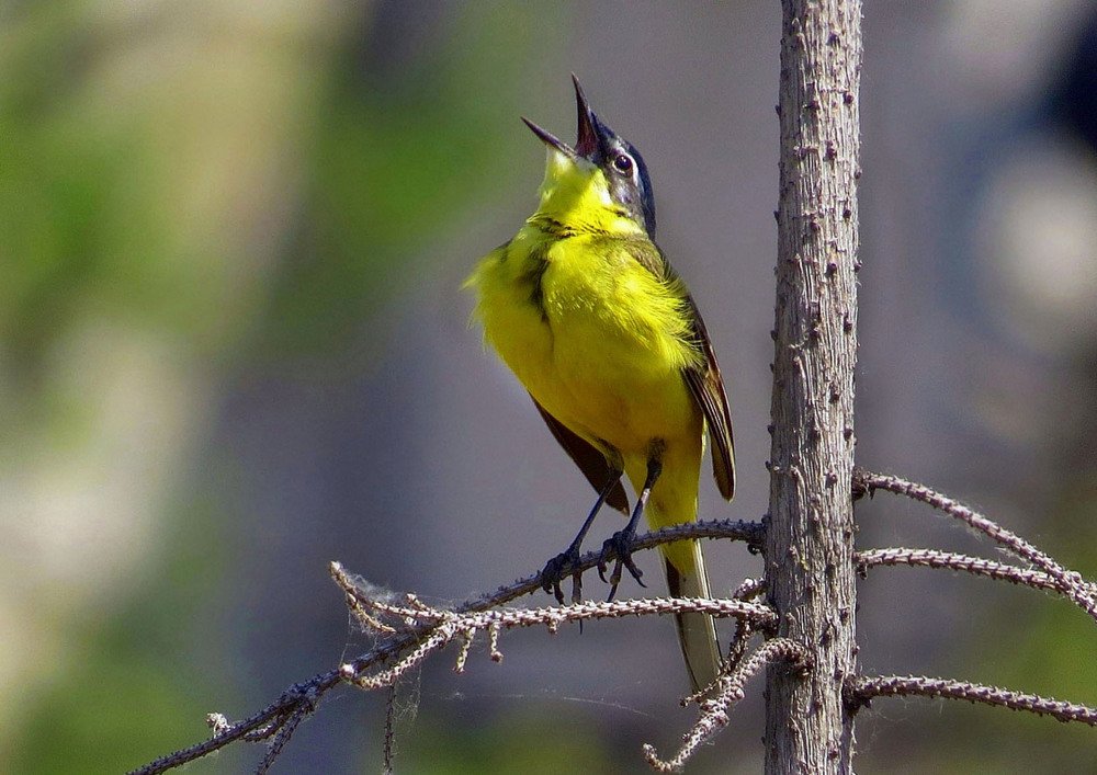 Photograph by Наталия Васильева