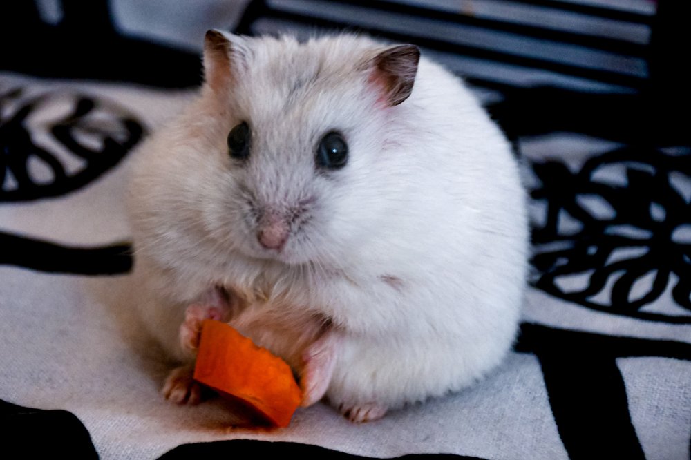 Photograph by David Alcaide