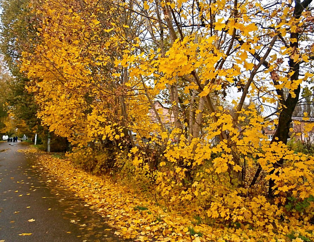 Photograph by Антон