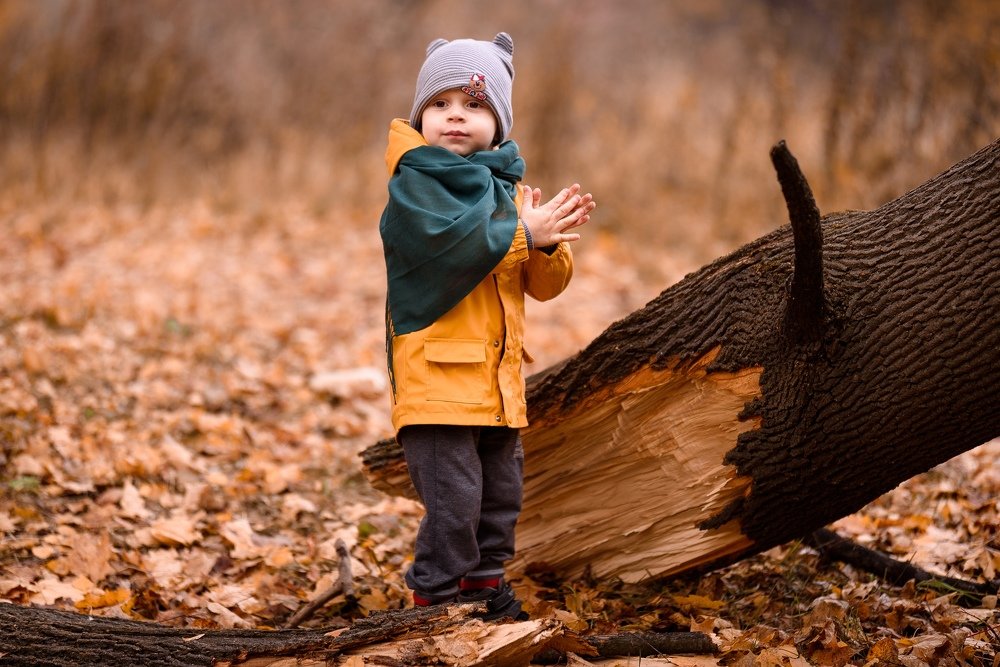 Photograph by Виктор Зенин