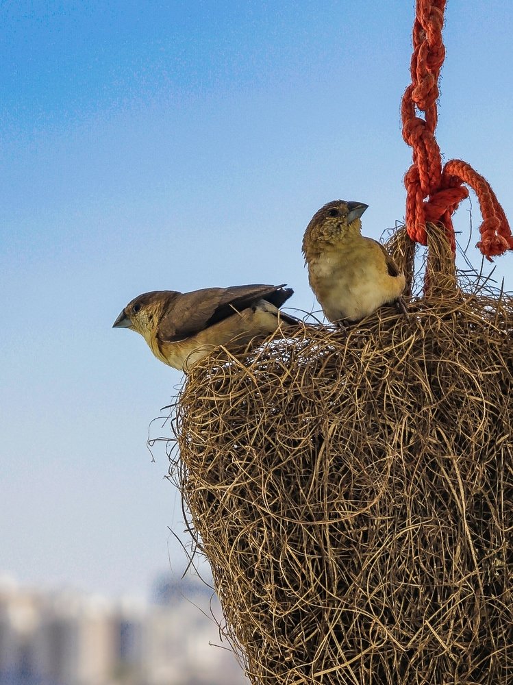 Photograph by Kunal Pandya
