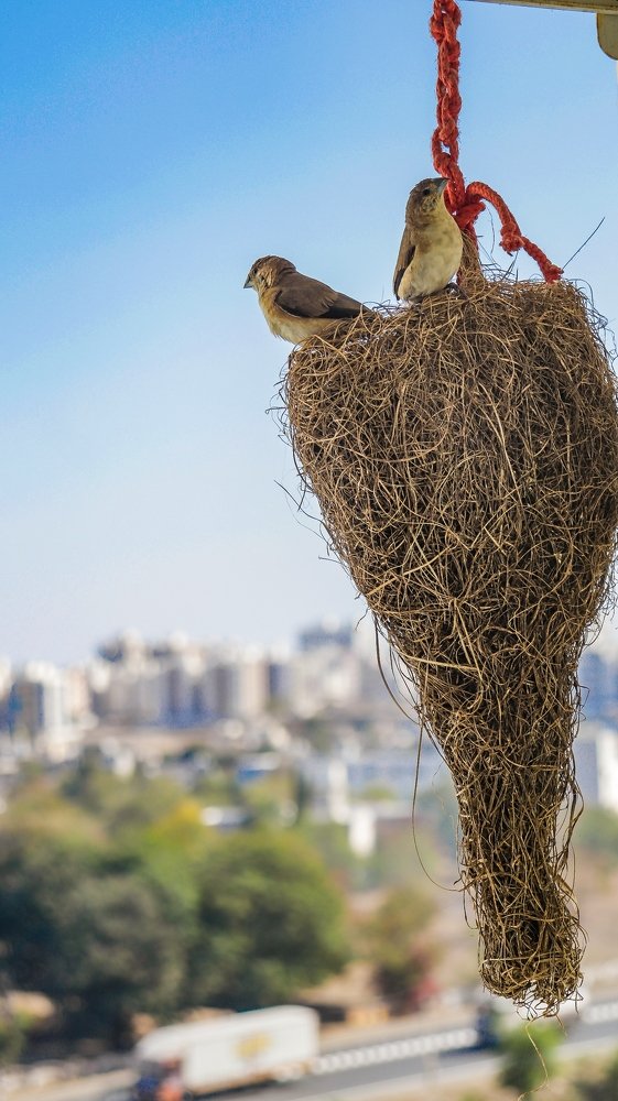 Photograph by Kunal Pandya