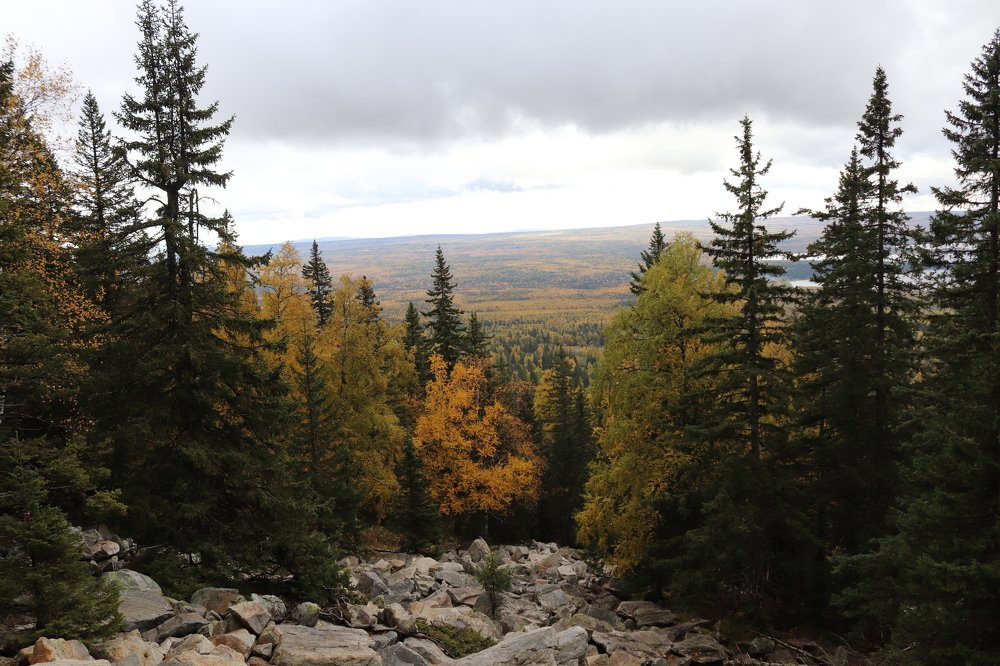 Фотография автора Веста Ягужинская