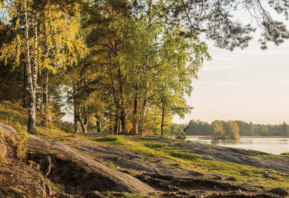 Photograph by Valentina