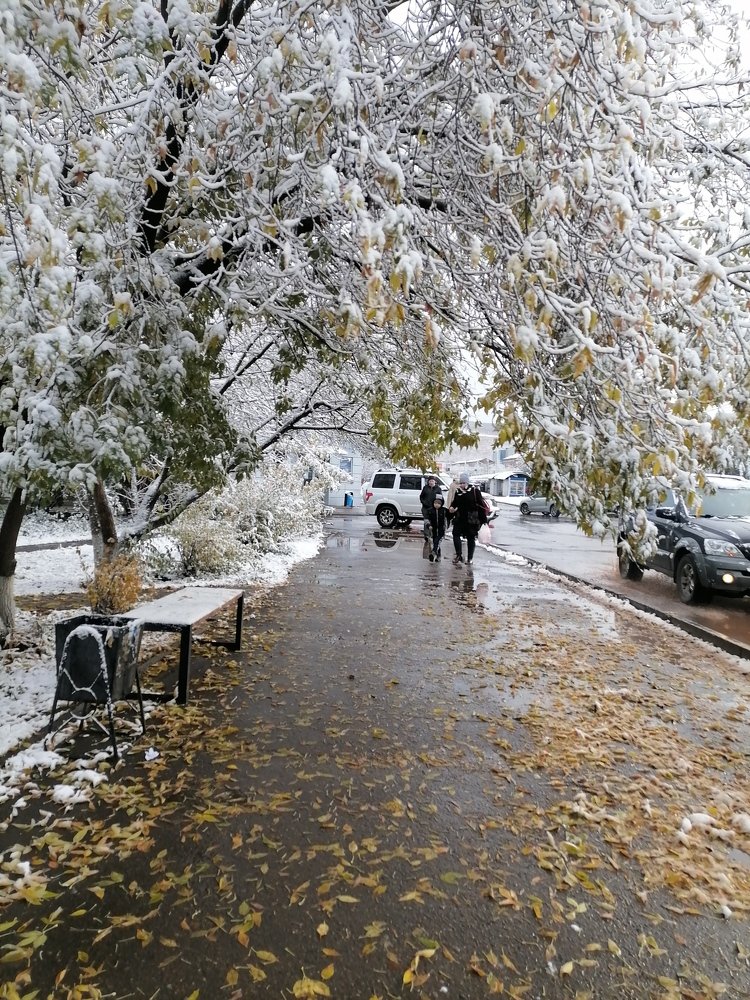 Photograph by Юлия Гагарина