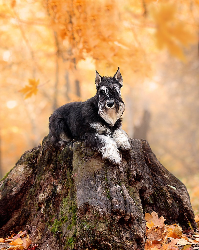 Photograph by Галина Щурова