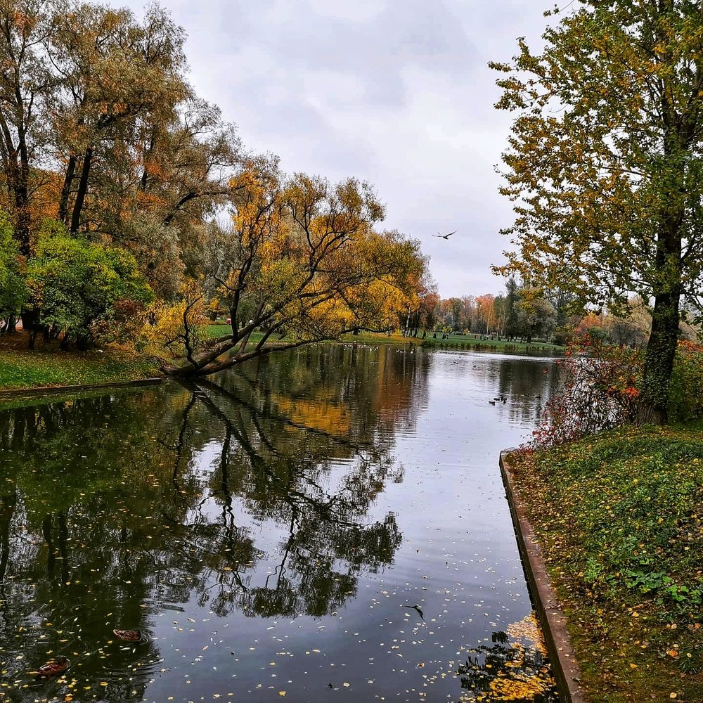 Photograph by Светослава Пряникова