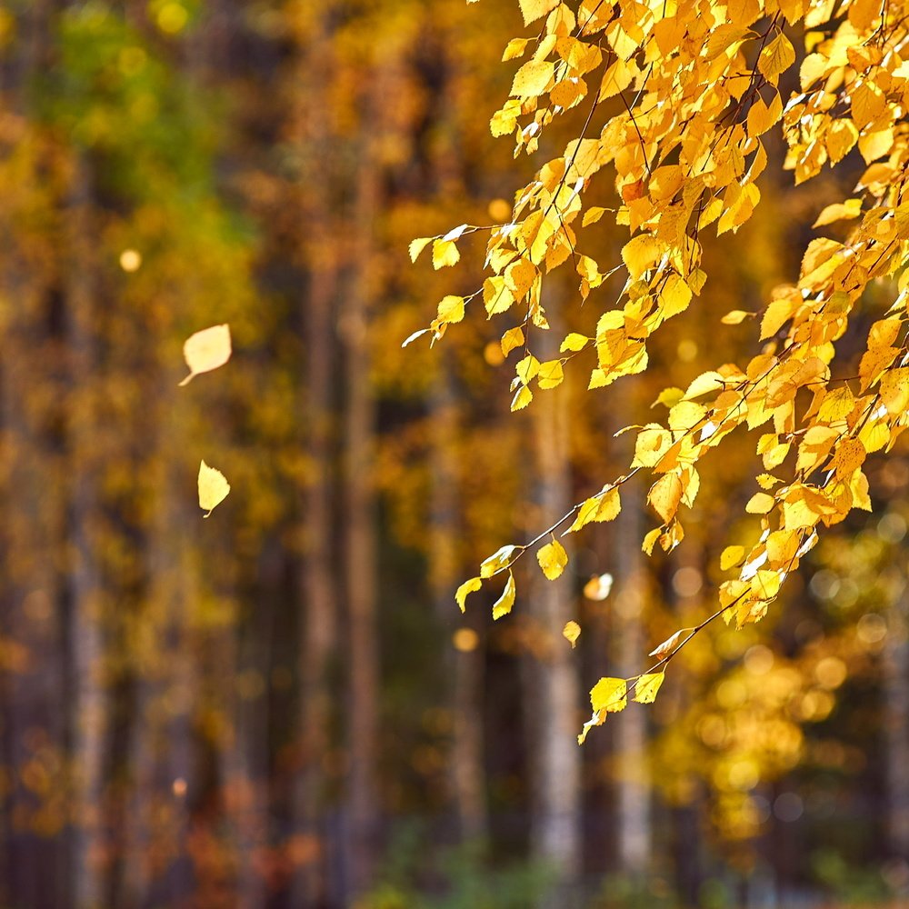 Photograph by Андрей Медведев