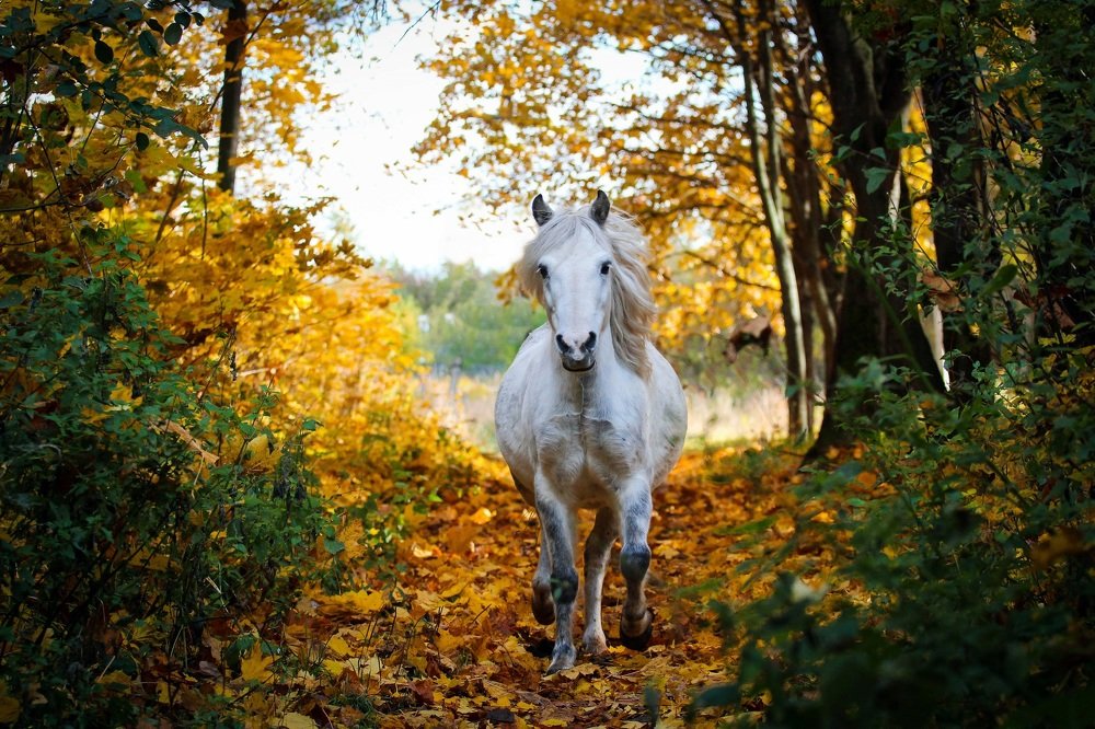 Photograph by Галина Щурова