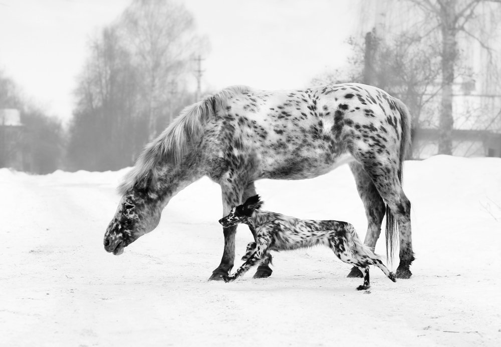 Photograph by Галина Щурова