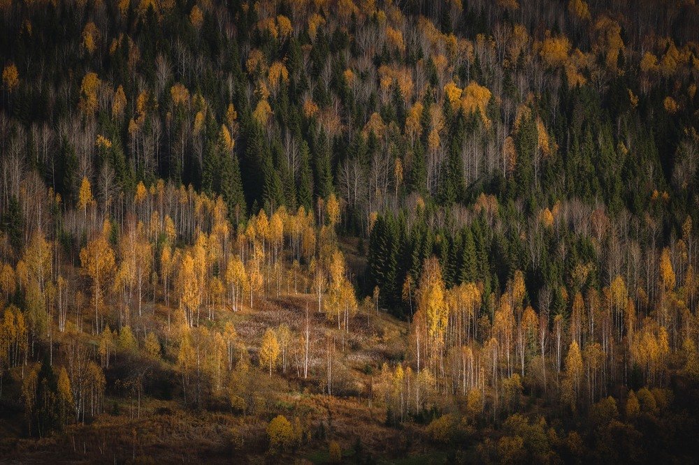 Photograph by Роман Марков