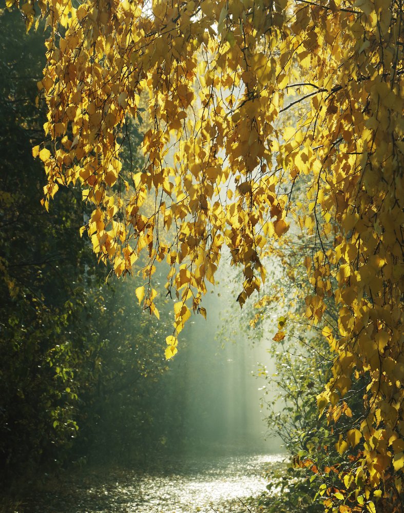 Photograph by Николай Ларионов