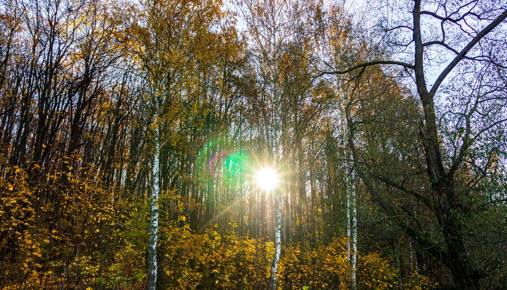 Photograph by Виктор Пономарёв