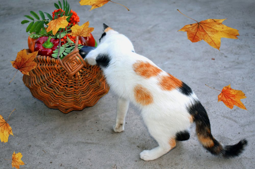 Photograph by Татьяна Дорожко