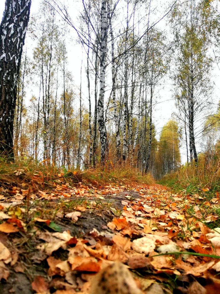 Последняя пора