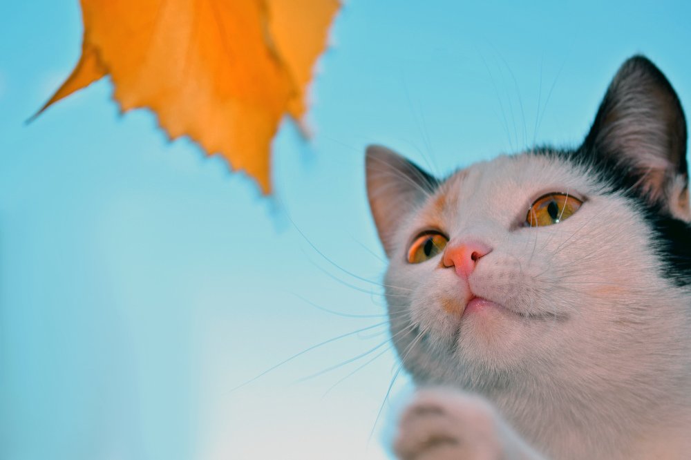 Photograph by Татьяна Дорожко