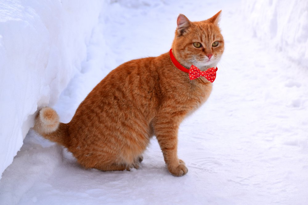 Photograph by Татьяна Дорожко