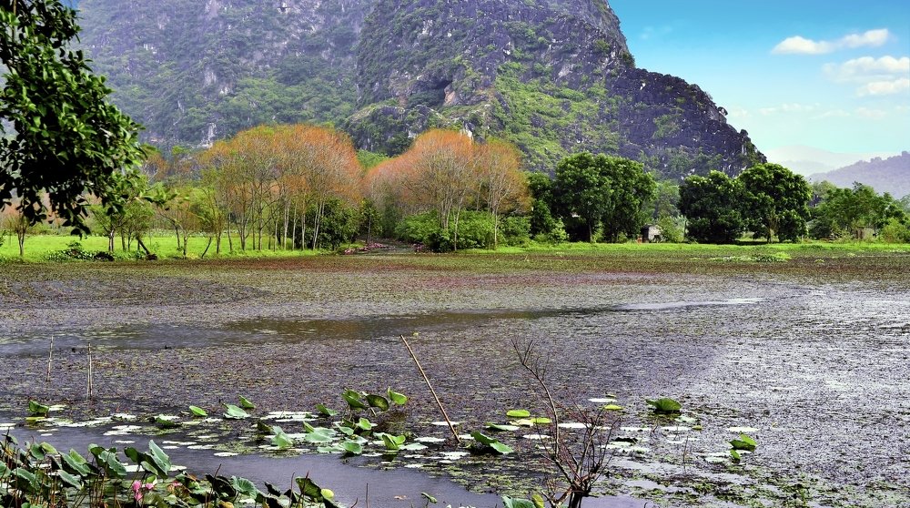 Photograph by PHUONG NGUYEN THANH