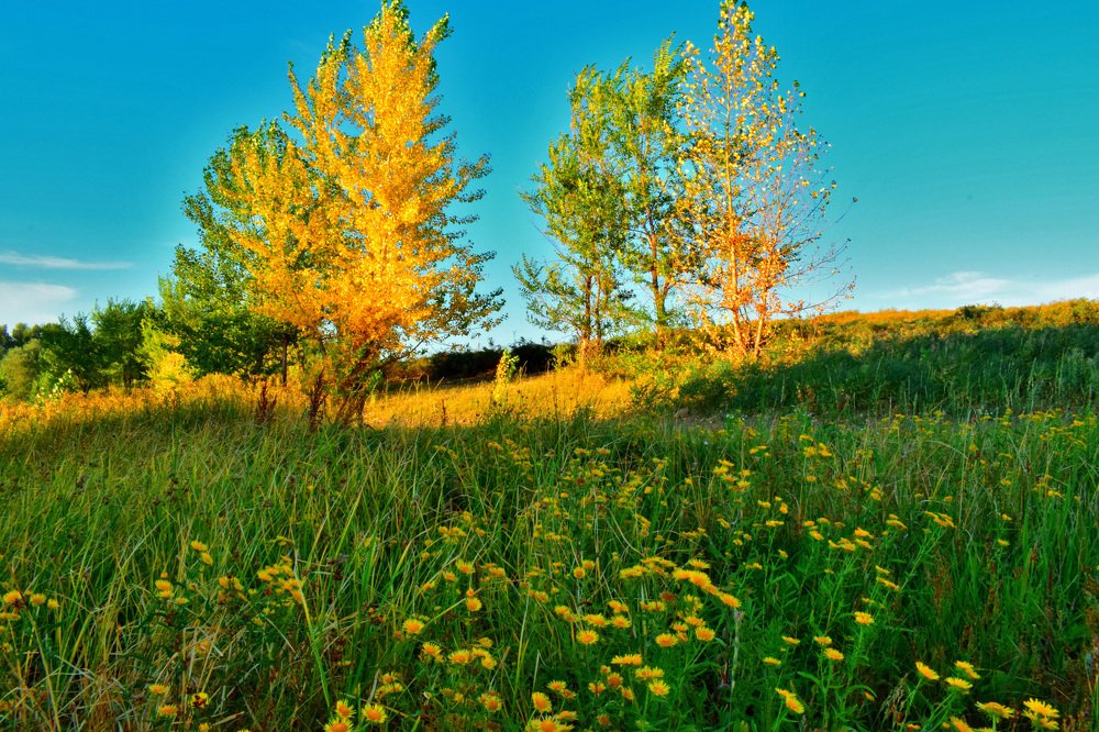 Photograph by Татьяна Дорожко