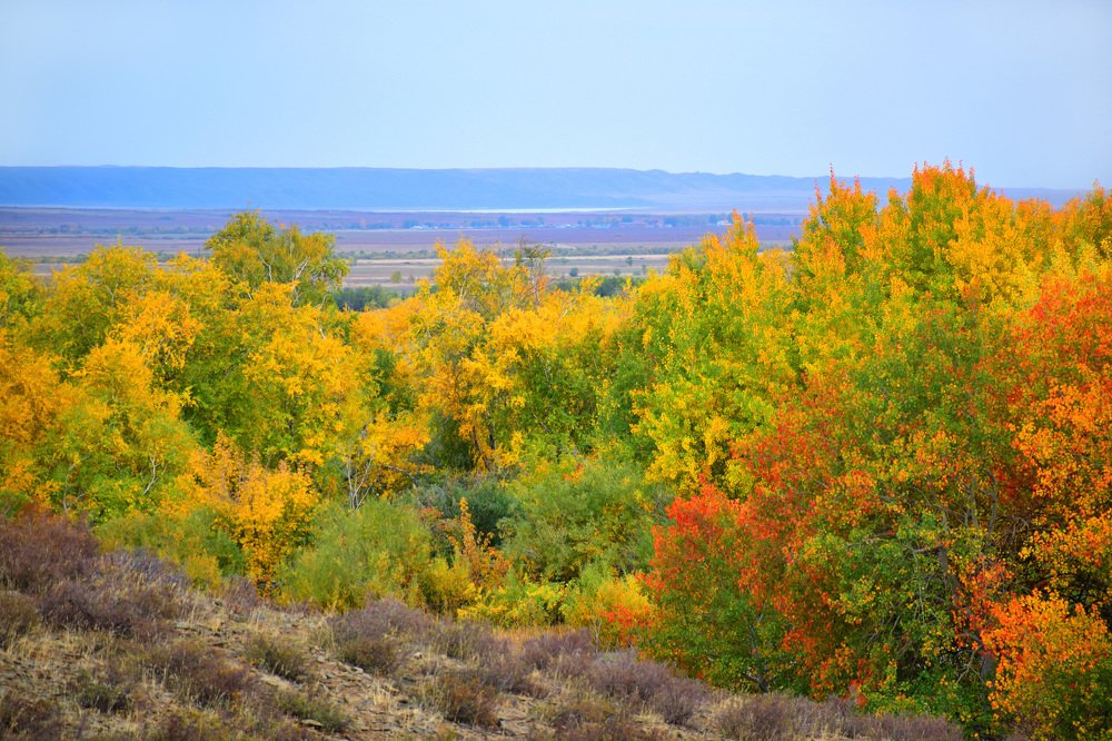 Photograph by Татьяна Дорожко