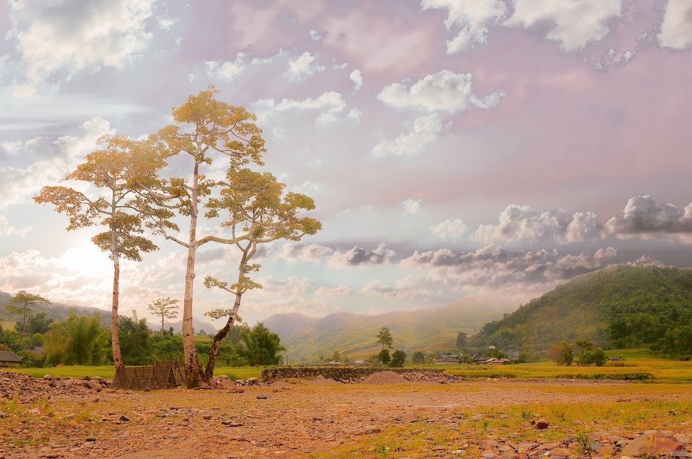 Photograph by PHUONG NGUYEN THANH