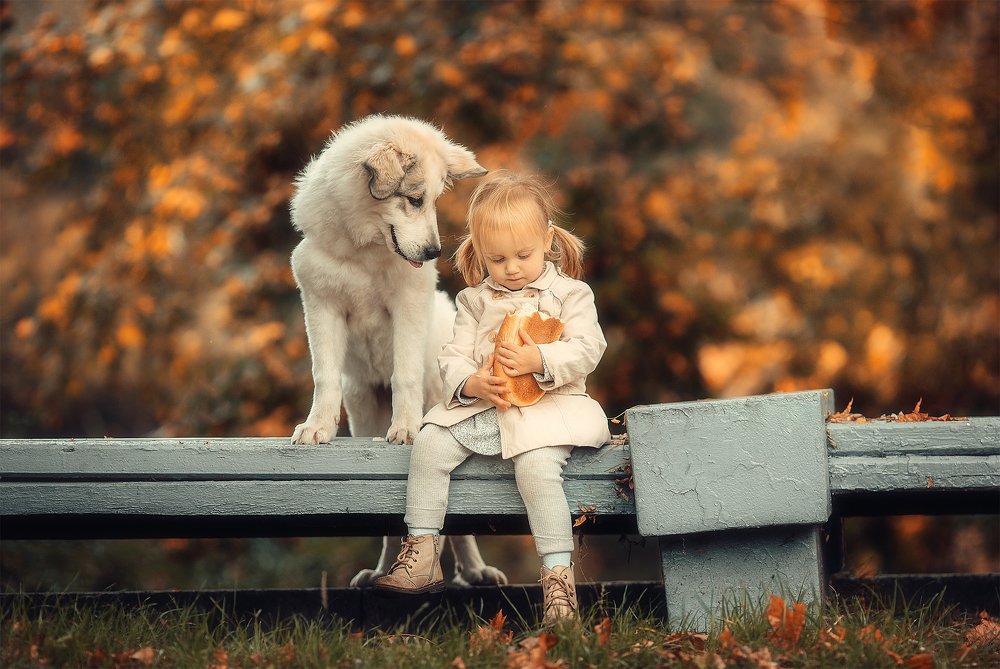 Угости меня!