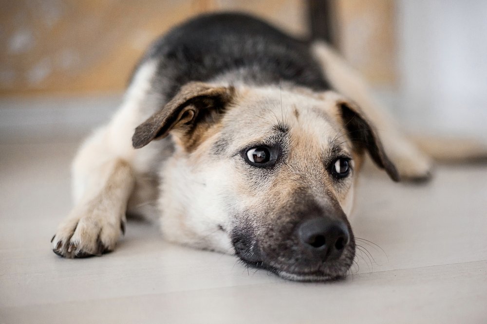 Photograph by Marina Moreva