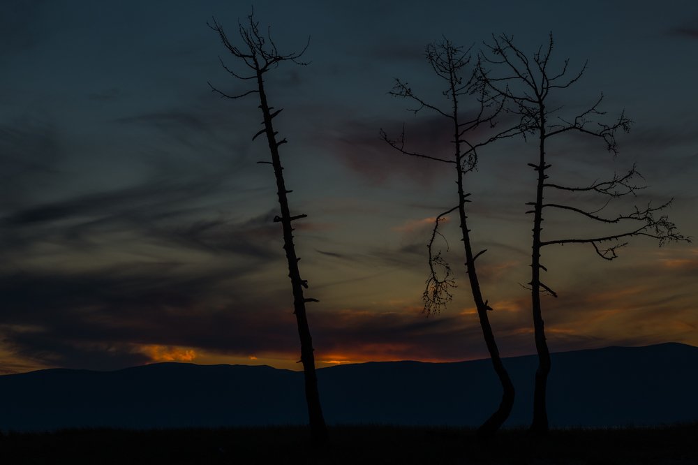 Фотография автора Оркина Ксения
