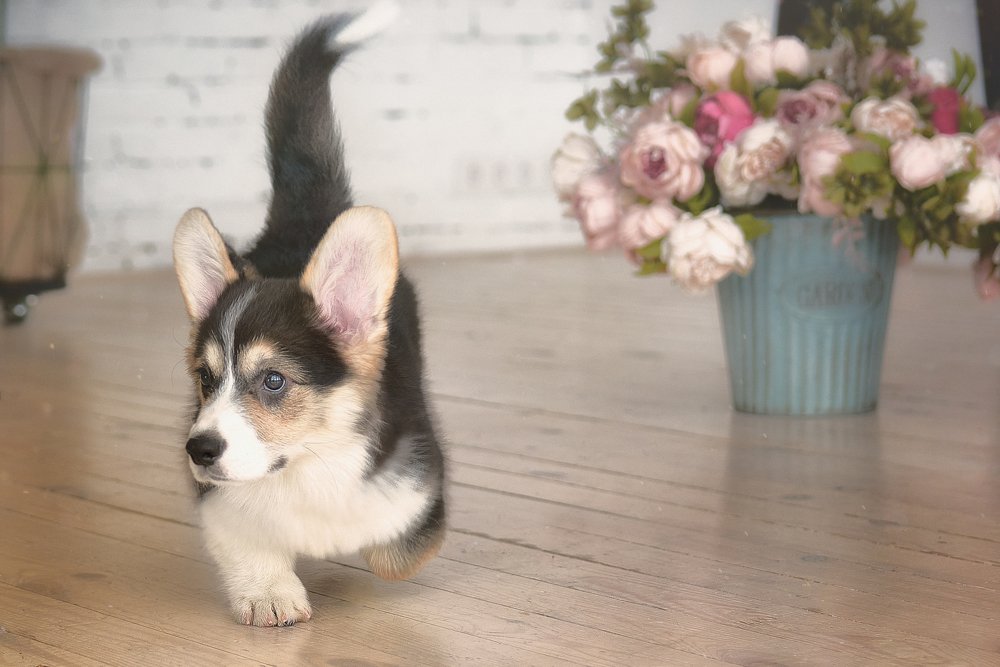 Photograph by Ольга Шибяева