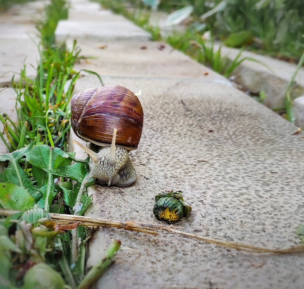 Photograph by Александр Ульянов