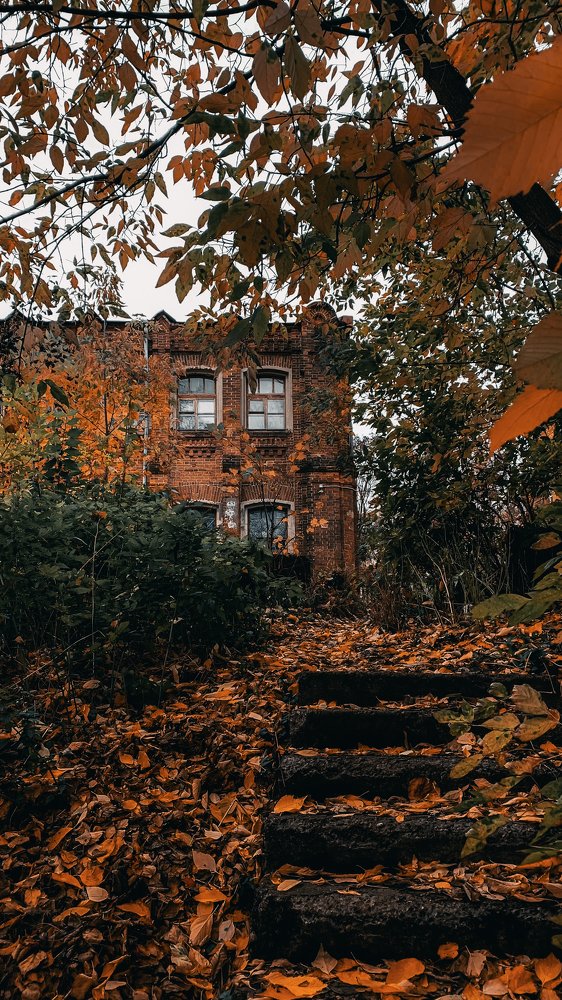 Photograph by Игорь Селин