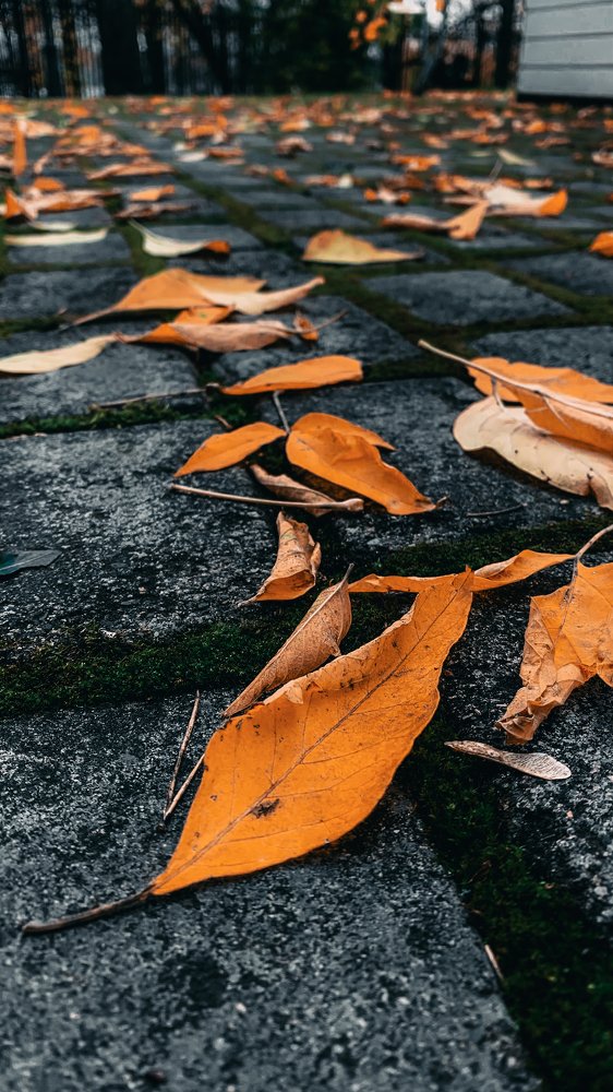 Photograph by Игорь Селин