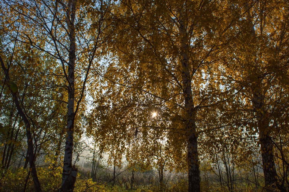 Photograph by Олег Байгозин