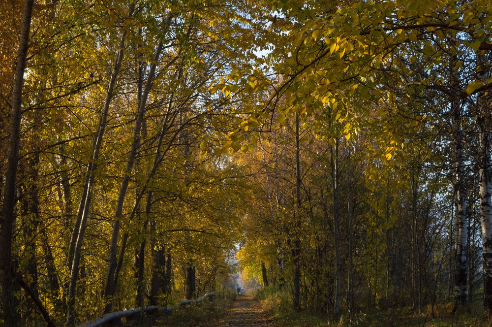 Photograph by Олег Байгозин