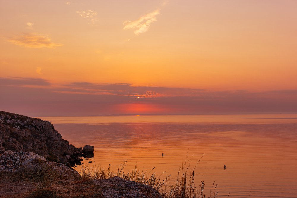 Photograph by Anna Chizh