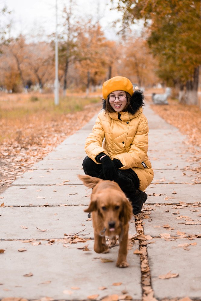 Куда ты, рыжий пес?