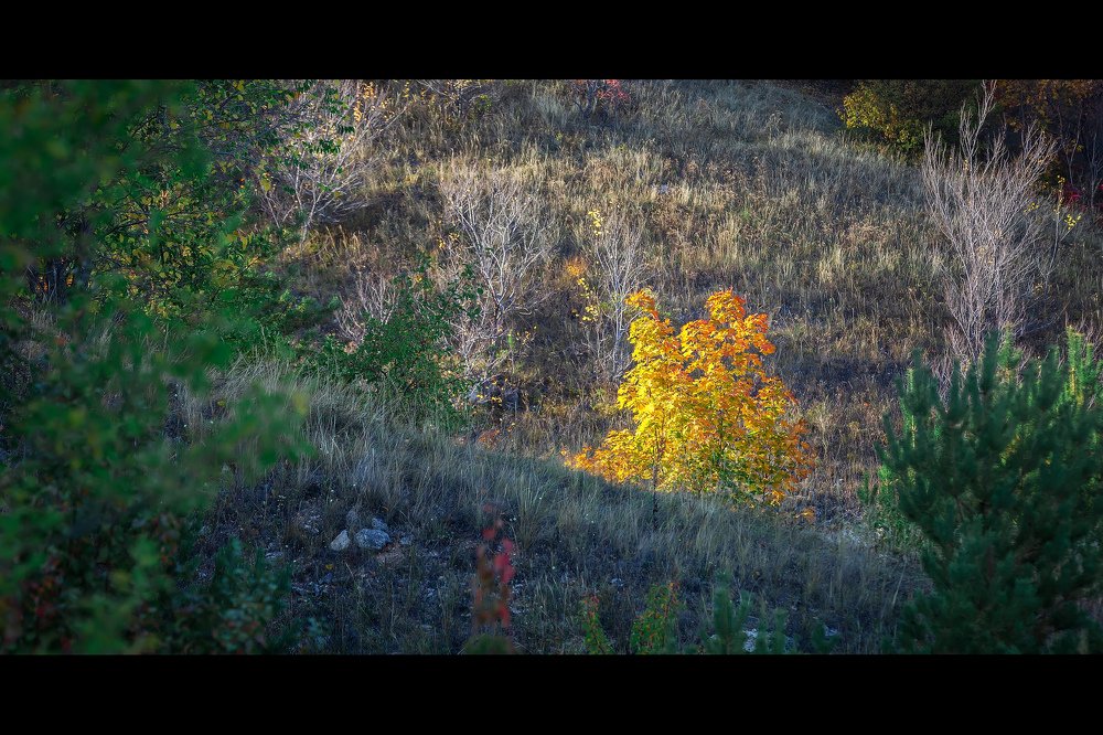 Photograph by Владимир Салапонов