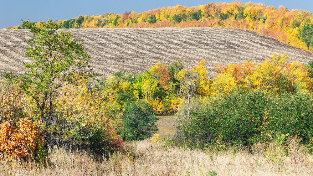 Photograph by Владимир Салапонов