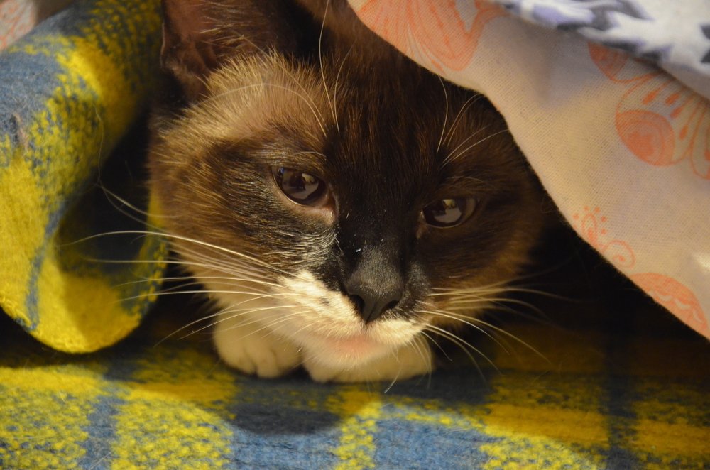 Photograph by Valentina