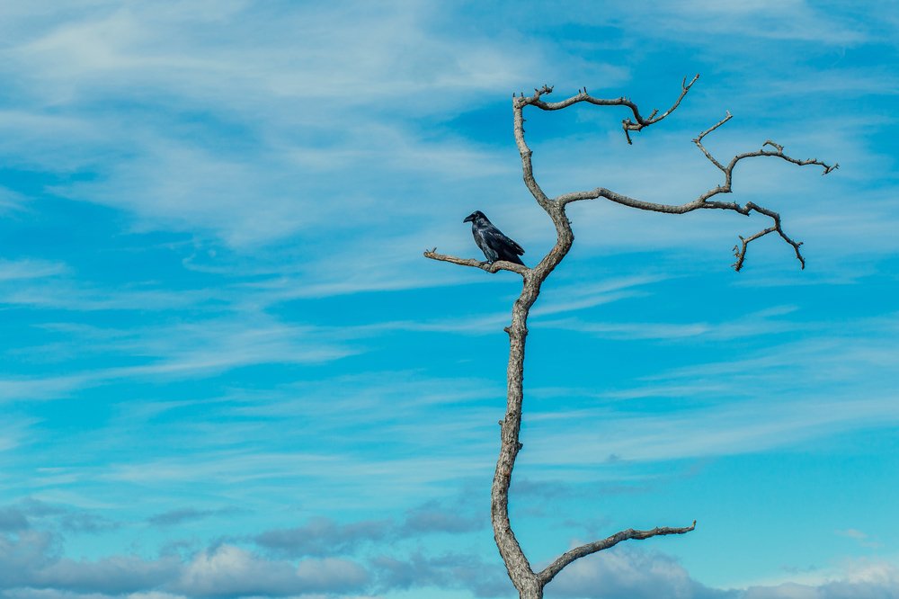 Фотография автора Оркина Ксения