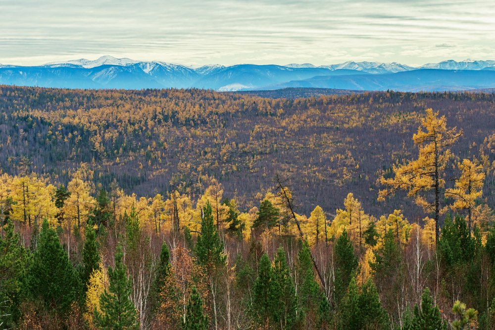 Фотография автора Оркина Ксения