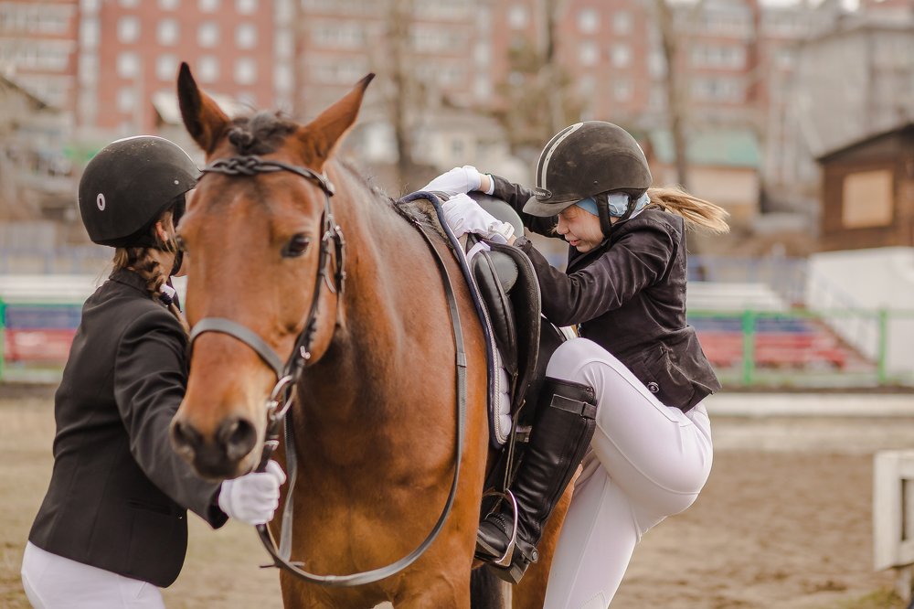 Фотография автора Оркина Ксения