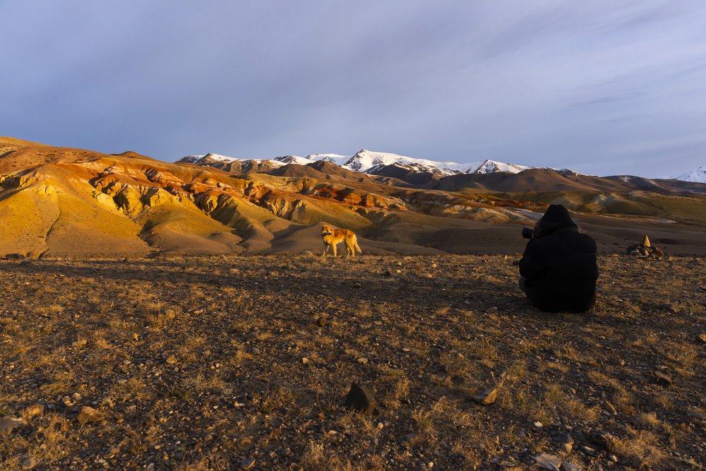 Встреча на Марсе.