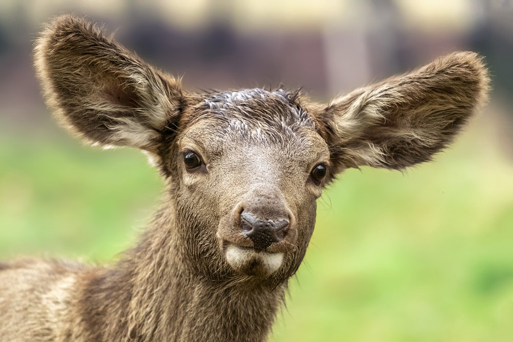 Photograph by Константин Кукушкин