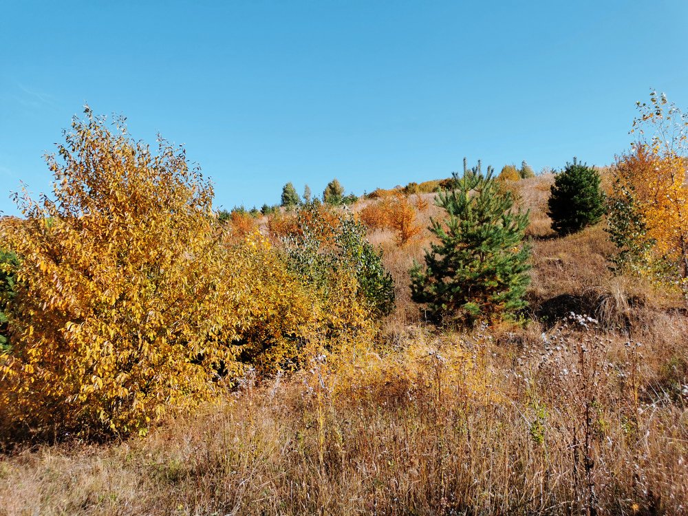 Photograph by Олеся