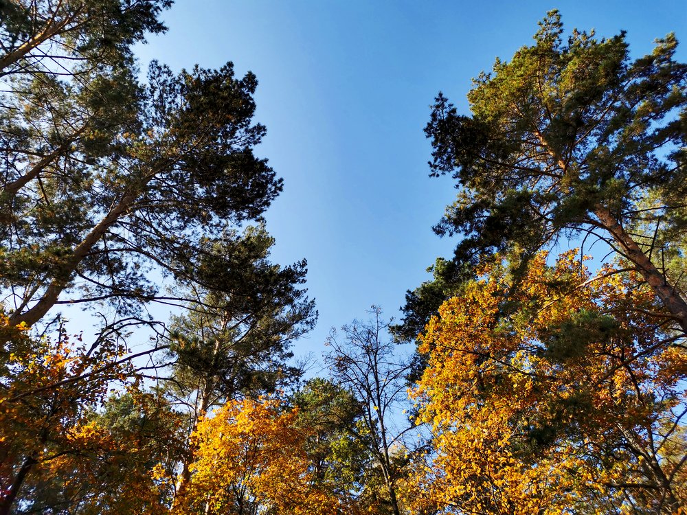 Photograph by Олеся